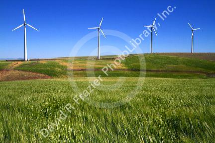 The Condon wind farm located near the town of Condon in central Oregon, USA.