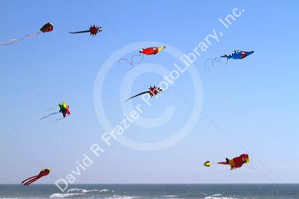 People flying kites along the D River in Lincoln City, Oregon, USA.
