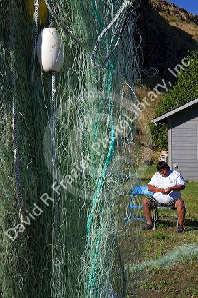 Yakama Nation indian repairing fishing nets at Celilo Village on the Columbia River, Oregon, USA. MR