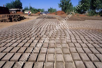 Adobe bricks being made near Talca, Chile.
