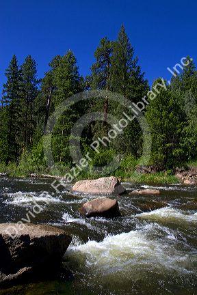 The Big Thompson River near Loveland, Colorado, USA.