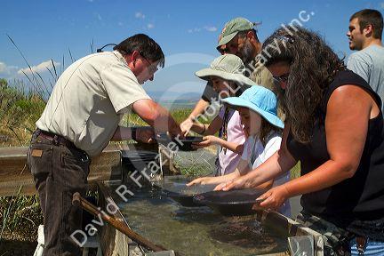 Visitors pan for gold in a demonstration gold panning sluice at the National Historic Oregon Trail Interpretive Center near Baker City, Oregon, USA.