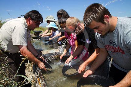Visitors pan for gold in a demonstration gold panning sluice at the National Historic Oregon Trail Interpretive Center near Baker City, Oregon, USA.
