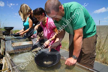 Visitors pan for gold in a demonstration gold panning sluice at the National Historic Oregon Trail Interpretive Center near Baker City, Oregon, USA.