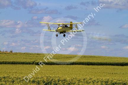 Crop duster spraying pesticide on a corn crop near Jerome, Idaho, USA.