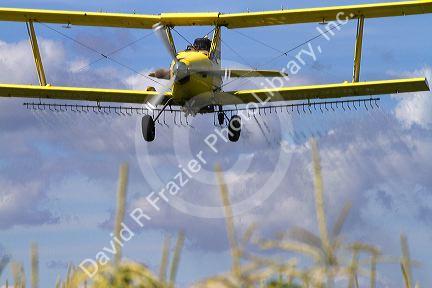 Crop duster spraying pesticide on a corn crop near Jerome, Idaho, USA.