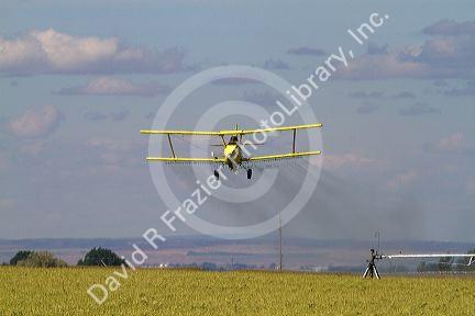 Crop duster spraying pesticide on a corn crop near Jerome, Idaho, USA.