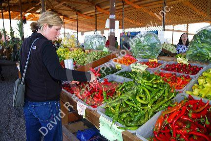 Woman shopping for a variety of peppers at an outdoor farmers' market in Fruitland, Idaho, USA. MR