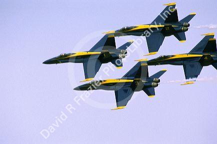 The Blue Angels F/A-18 Hornets fly in formation.