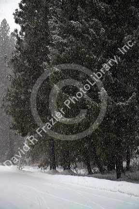 Snow and ice during winter at Mores Creek in Boise County, Idaho, USA.