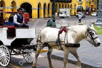 Horse drawn carriage at the Plaza Mayor or Plaza de Armas of Lima, Peru.