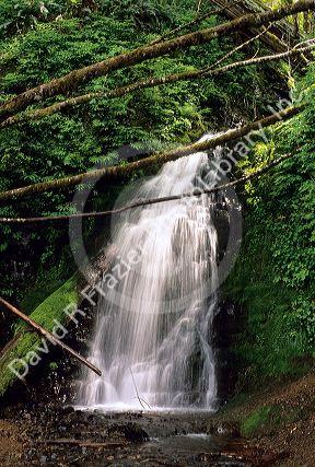 A waterfall  in the Cascade Mountains of Oregon.