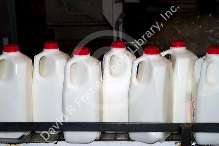 Stoker Milk Company's bottling plant at Burley, Idaho, USA.