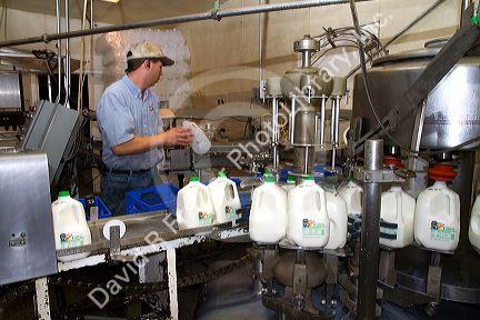 Stoker Milk Company's bottling plant at Burley, Idaho, USA.