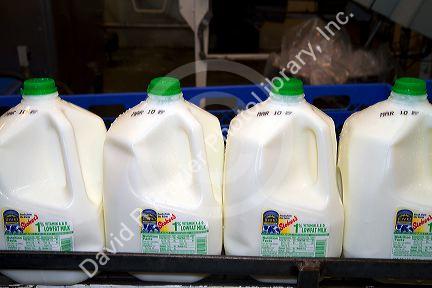 Stoker Milk Company's bottling plant at Burley, Idaho, USA.