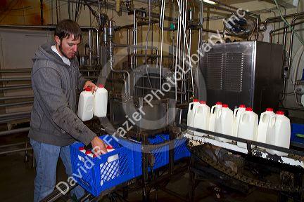 Stoker Milk Company's bottling plant at Burley, Idaho, USA.
