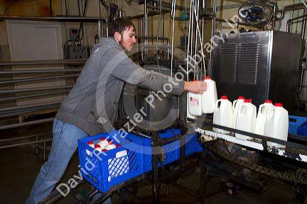 Stoker Milk Company's bottling plant at Burley, Idaho, USA.