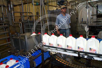 Stoker Milk Company's bottling plant at Burley, Idaho, USA.