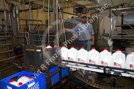 Stoker Milk Company's bottling plant at Burley, Idaho, USA.