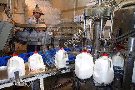 Stoker Milk Company's bottling plant at Burley, Idaho, USA.