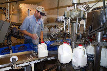 Stoker Milk Company's bottling plant at Burley, Idaho, USA.