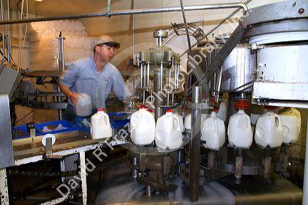 Stoker Milk Company's bottling plant at Burley, Idaho, USA.