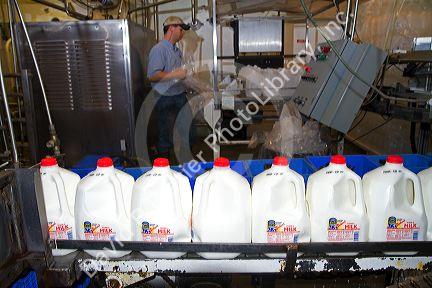 Stoker Milk Company's bottling plant at Burley, Idaho, USA.