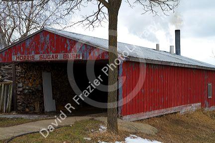 Sugar shack used for processing maple sap in Lake Odessa, Michigan, USA.