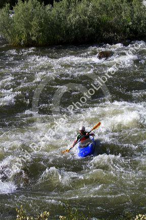 Whitewater kayaking on the Payette River, Idaho, USA.