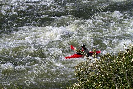 Whitewater kayaking on the Payette River, Idaho, USA.