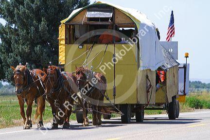 Modern times horse drawn covered wagon near Caldwell, Idaho, USA.