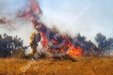 Wildfire south of the city of Boise, Idaho, USA.