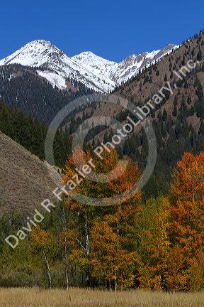 The Pioneer Mountains near Sun Valley, Idaho, USA.