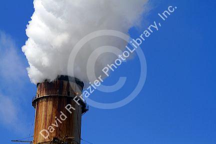 Smoke and steam emission at the TECO Tampa Electric Big Bend Power Station located in Apollo Beach, Florida, USA.