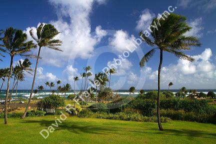 Lydgate beach park on the island of Kauai, Hawaii, USA.