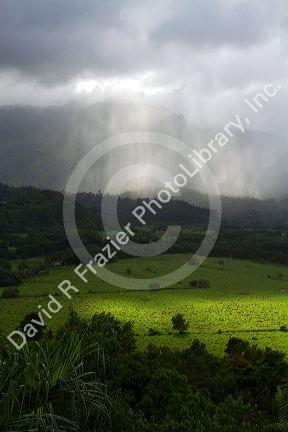 The green valley surrounding Hanalei Bay on the island of Kauai, Hawaii, USA.