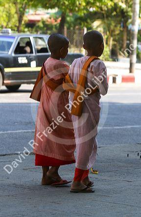 Young buddhist nuns in (Rangoon) Yangon, (Burma) Myanmar.