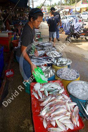 Vendor selling fresh fish at an open air market on the island of Ko Samui, Thailand.