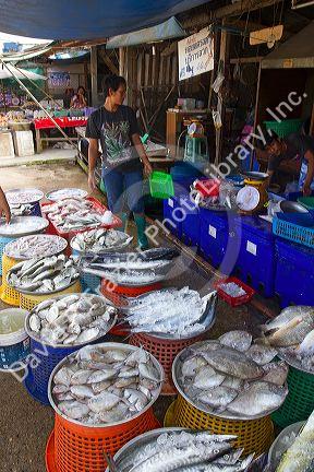 Vendor selling fresh fish at an open air market on the island of Ko Samui, Thailand.