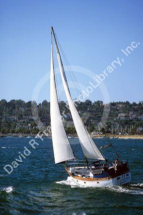 A sailboat in the San Diego Harbor, California.