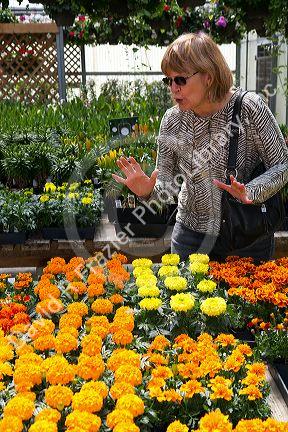 Customer shopping for flowers at a nursery in Jerome, Idaho, USA. MR