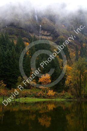 Deciduous trees in fall color along the Columbia River, Oregon, USA.