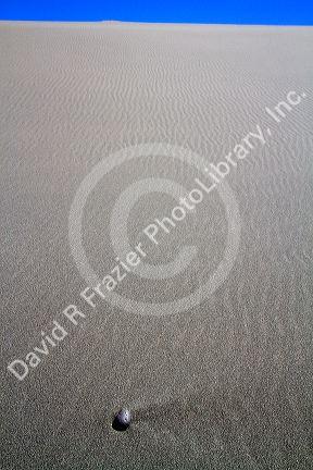 Bruneau Dunes State Park located near Bruneau, Idaho, USA.