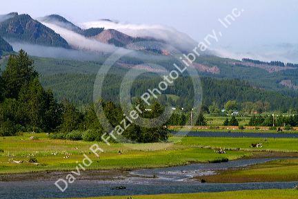 Coastal fog coming over the mountains near Nehalem in Tillamook County, Oregon, USA.