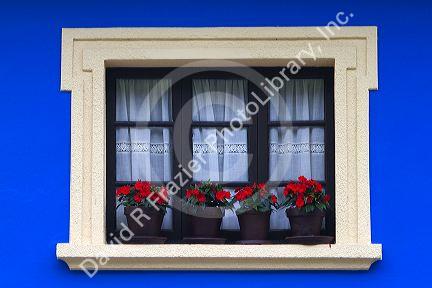 Residential housing with flowers in windows in the municipality of Cangas de Onis in Asturias, Spain.