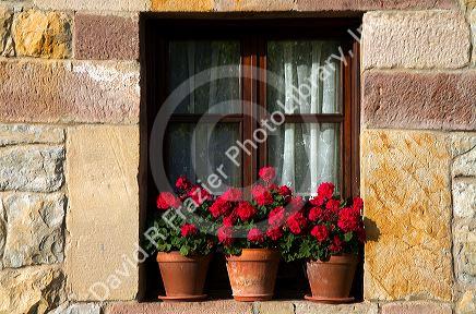 Flower pots in the window of a building in the village of Santillana del Mar, Cantabria, Spain.