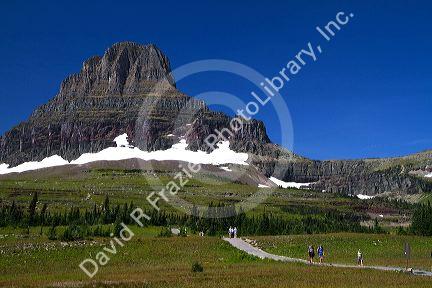 Reynolds Mountain at Logan Pass located along the Continental Divide in Glacier National Park, Montana, USA.