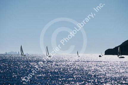 Sailboats in San Diego Harbor, California.