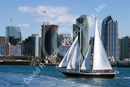 A sailboat in San Diego Harbor, California.
