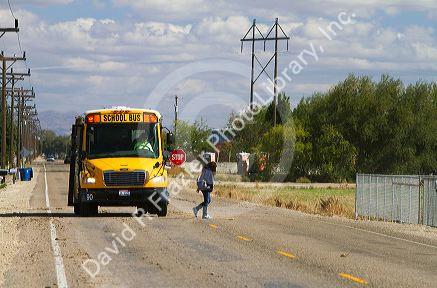A school bus stopped with flashing red lights and stop sign allowing a child to get off in Canyon County, Idaho, USA.